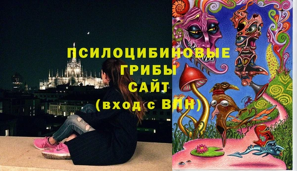 Альфа ПВП Абаза