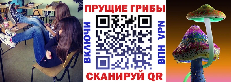Псилоцибиновые грибы Cubensis  Ермолино 